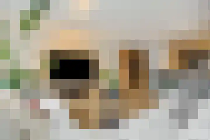 Mignot en De Blockplein 66 Eindhoven thumbnail 21