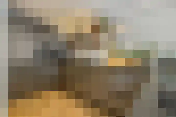 Mignot en De Blockplein 66 Eindhoven thumbnail 25