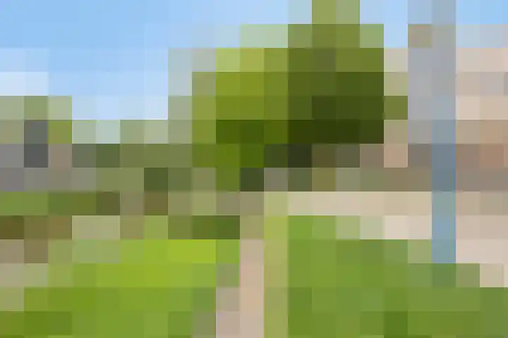 Mignot en De Blockplein 88 Eindhoven thumbnail 32
