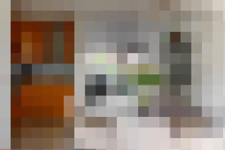 Miguel de Cervantesweg 11 Woerden thumbnail 10