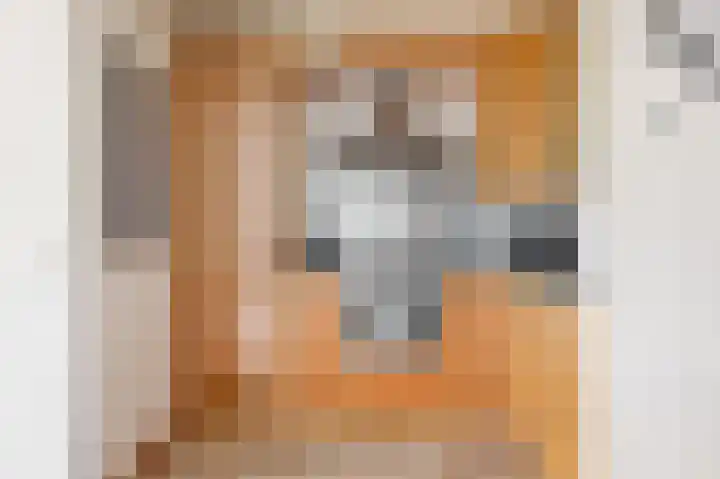 Miguel de Cervantesweg 11 Woerden thumbnail 11