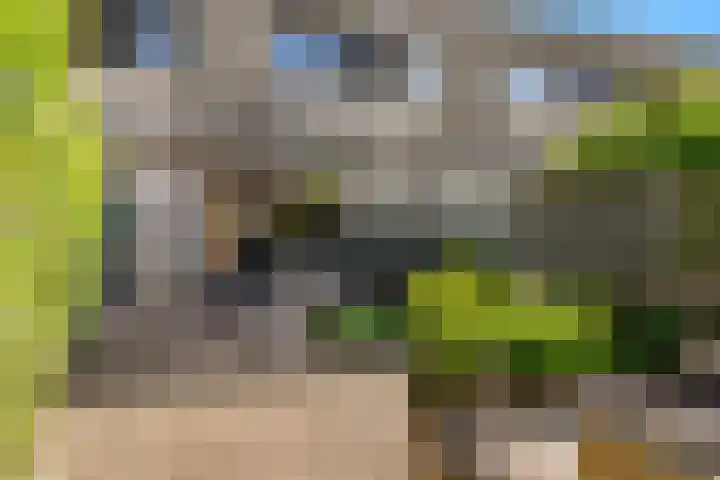 Miguel de Cervantesweg 11 Woerden thumbnail 25