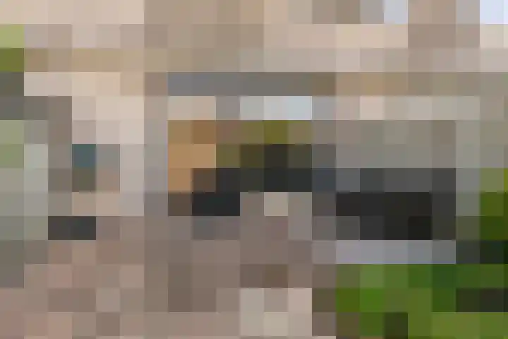 Miguel de Cervantesweg 11 Woerden thumbnail 26