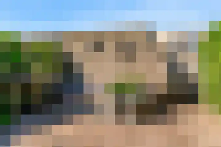 Miguel de Cervantesweg 11 Woerden thumbnail 28