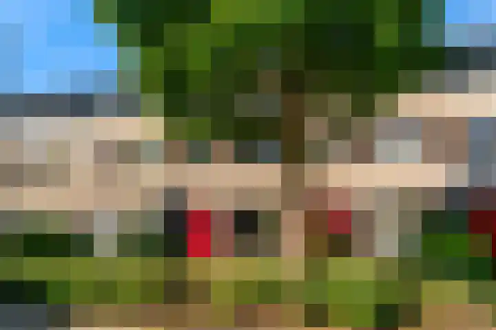 Miguel de Cervantesweg 11 Woerden thumbnail 29