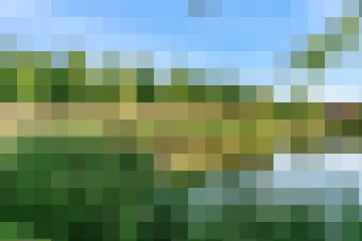 Miguel de Cervantesweg 11 Woerden thumbnail 33
