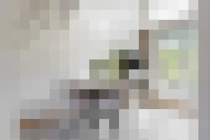 Miguel de Cervantesweg 11 Woerden thumbnail 9