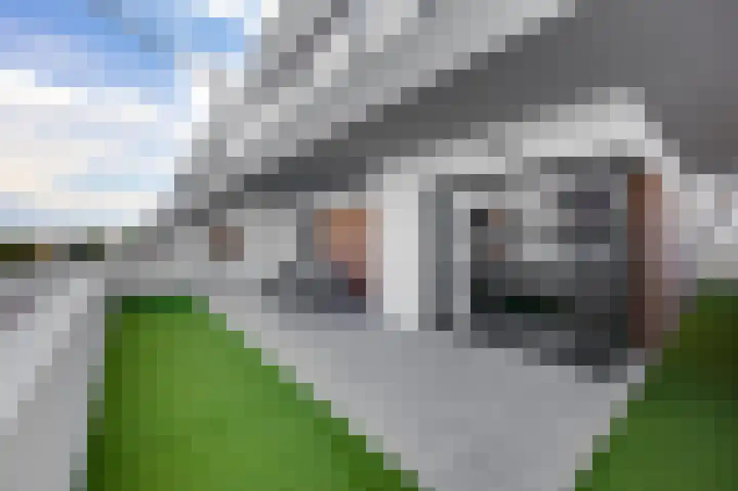 Miguel de Cervantesweg 17 Woerden thumbnail 11