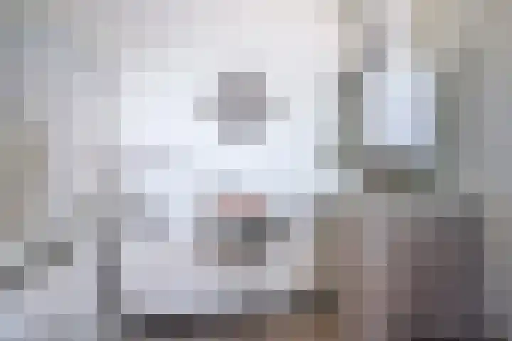 Mijdrechtse dwarsweg 12 Wilnis thumbnail 12