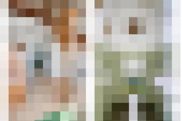 Mijdrechtse dwarsweg 12 Wilnis thumbnail 14