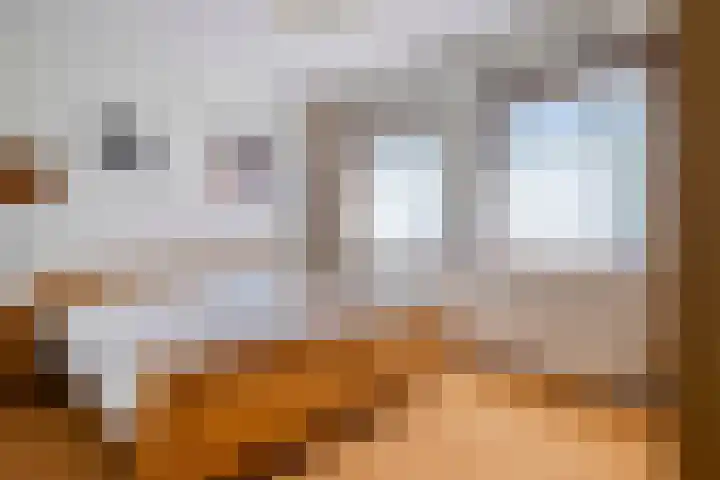 Mijdrechtse dwarsweg 12 Wilnis thumbnail 15