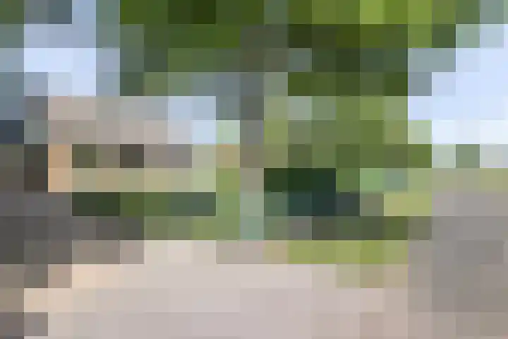 Mijdrechtse dwarsweg 12 Wilnis foto 2