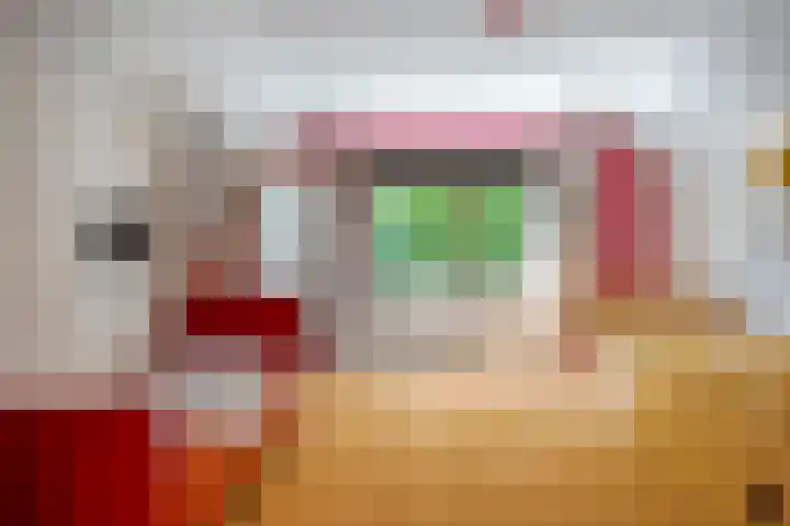 Mijdrechtse dwarsweg 12 Wilnis thumbnail 22