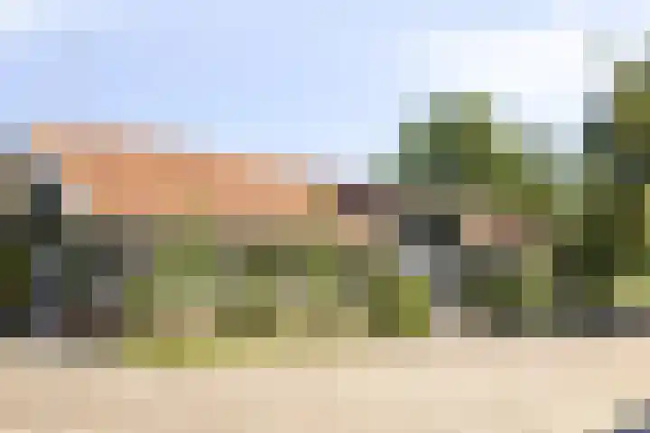 Mijdrechtse dwarsweg 12 Wilnis foto 3
