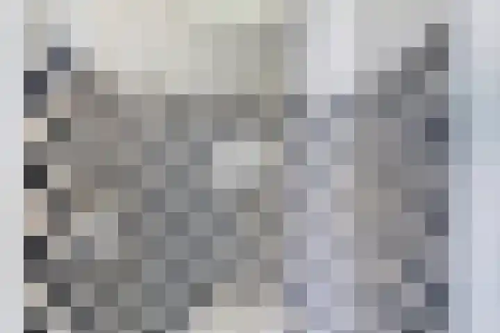 Mijdrechtse dwarsweg 12 Wilnis thumbnail 33