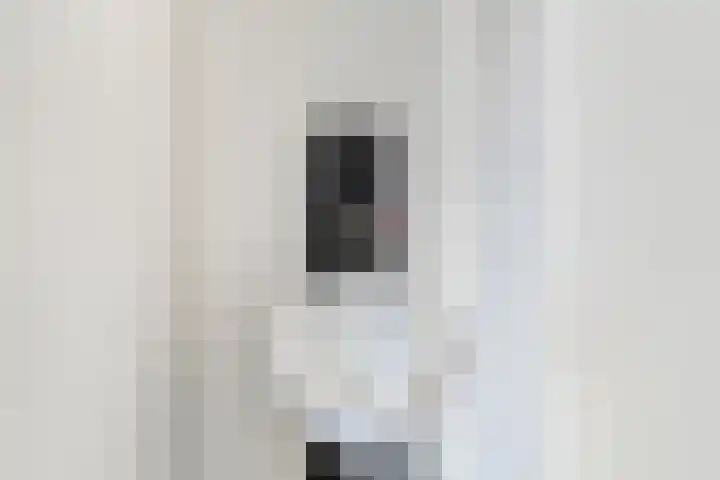 Mijdrechtse dwarsweg 12 Wilnis thumbnail 34