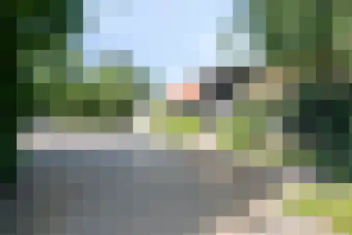 Mijdrechtse dwarsweg 12 Wilnis thumbnail 35