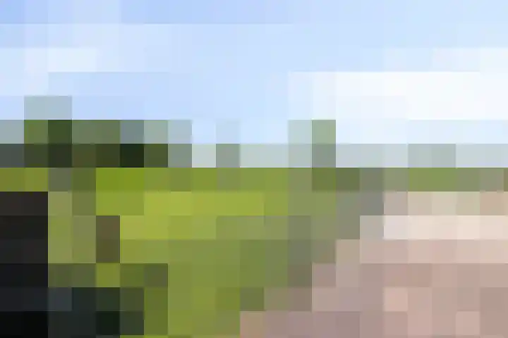 Mijdrechtse dwarsweg 12 Wilnis thumbnail 40