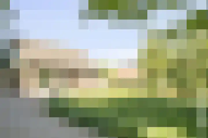 Mijdrechtse dwarsweg 12 Wilnis thumbnail 41