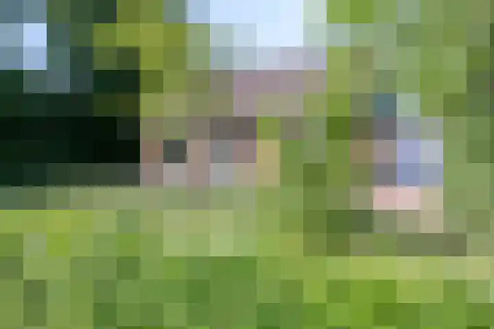 Mijdrechtse dwarsweg 12 Wilnis thumbnail 42
