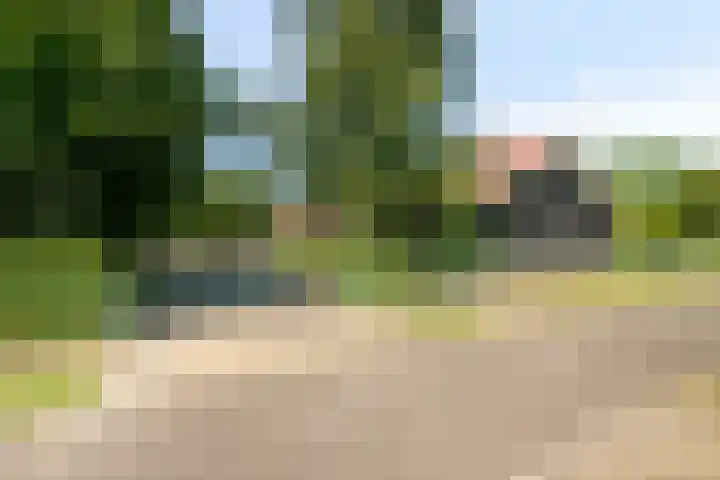 Mijdrechtse dwarsweg 12 Wilnis thumbnail 43