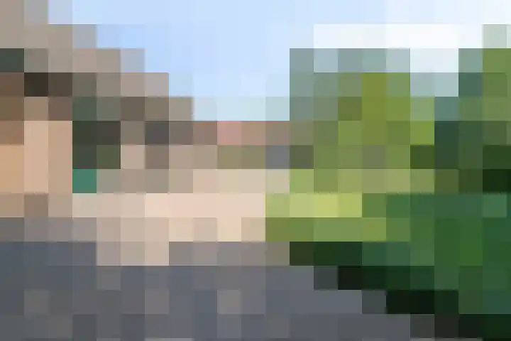 Mijdrechtse dwarsweg 12 Wilnis thumbnail 44