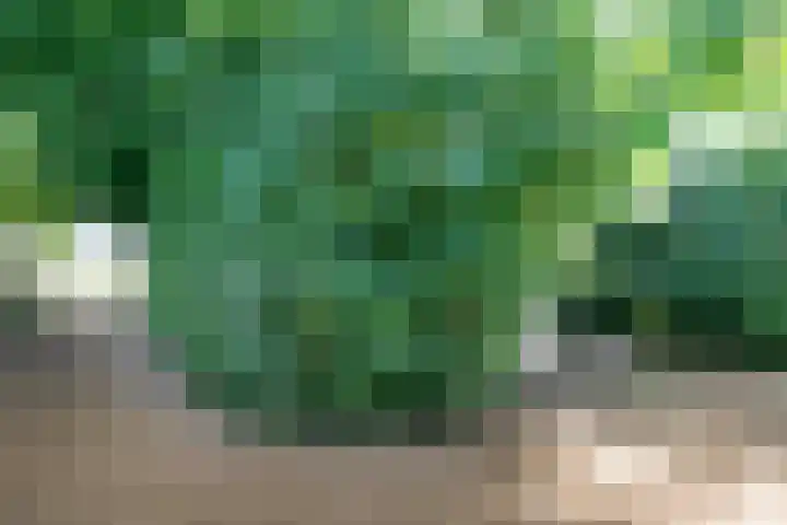 Mijdrechtse dwarsweg 12 Wilnis thumbnail 46