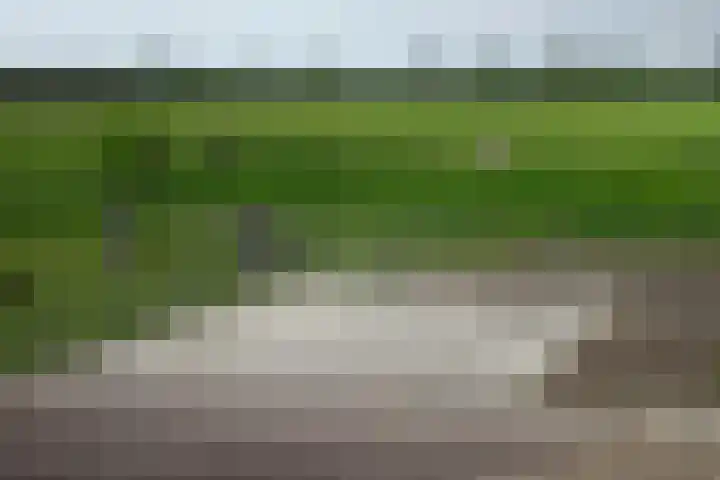 Mijdrechtse dwarsweg 12 Wilnis thumbnail 47
