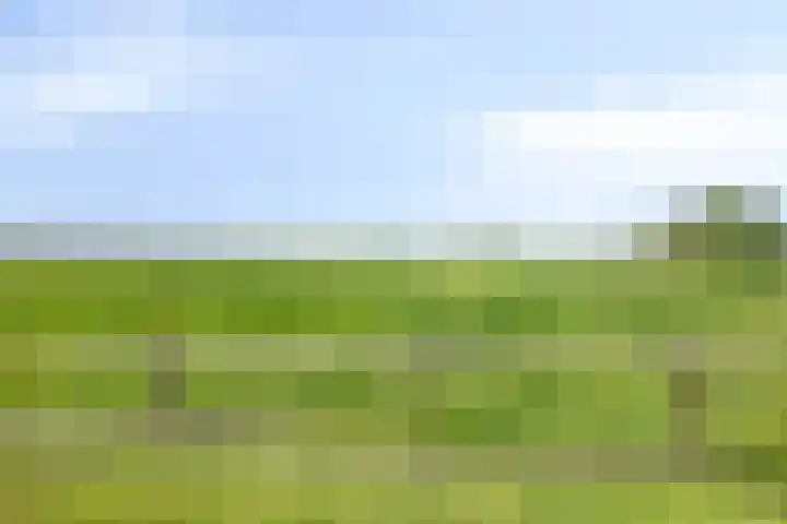 Mijdrechtse dwarsweg 12 Wilnis thumbnail 48