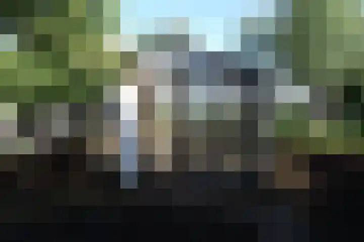 Mijdrechtse dwarsweg 12 Wilnis thumbnail 49
