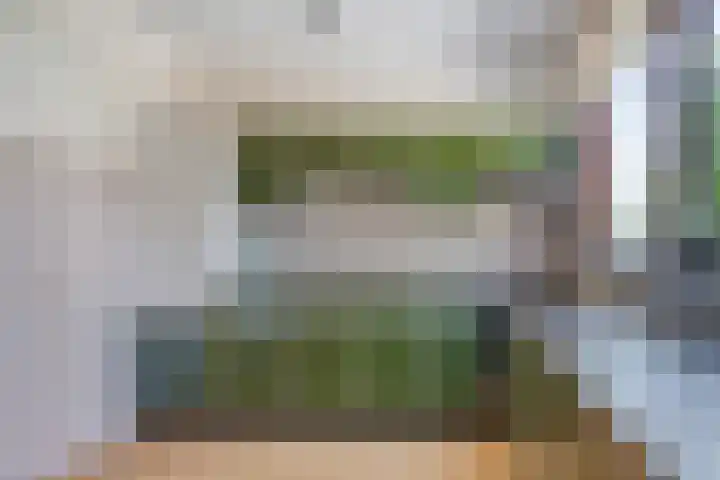 Mijdrechtse dwarsweg 12 Wilnis thumbnail 5