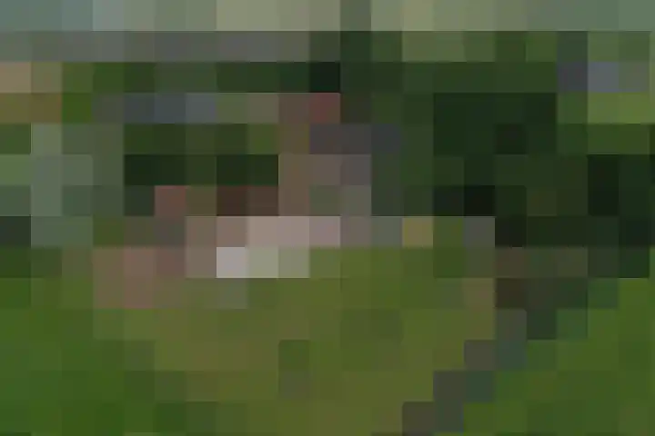 Mijdrechtse dwarsweg 12 Wilnis thumbnail 50