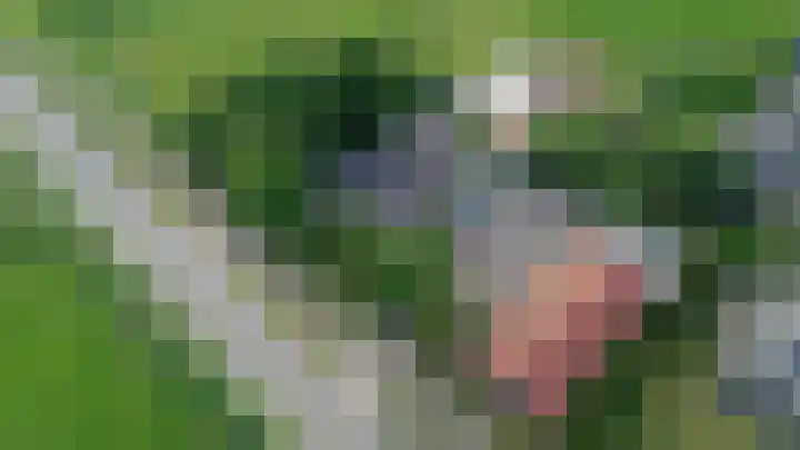 Mijdrechtse dwarsweg 12 Wilnis thumbnail 52