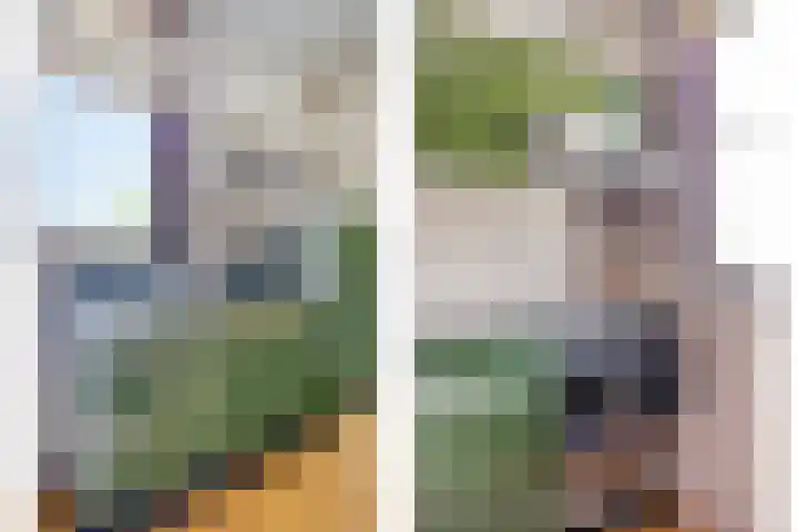 Mijdrechtse dwarsweg 12 Wilnis thumbnail 7