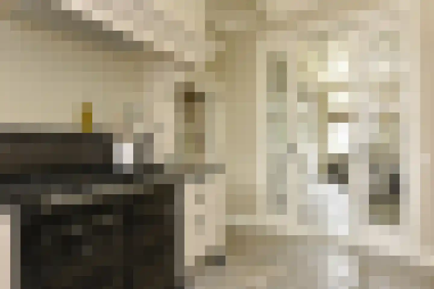 Mijdrechtse dwarsweg 5 Wilnis thumbnail 11