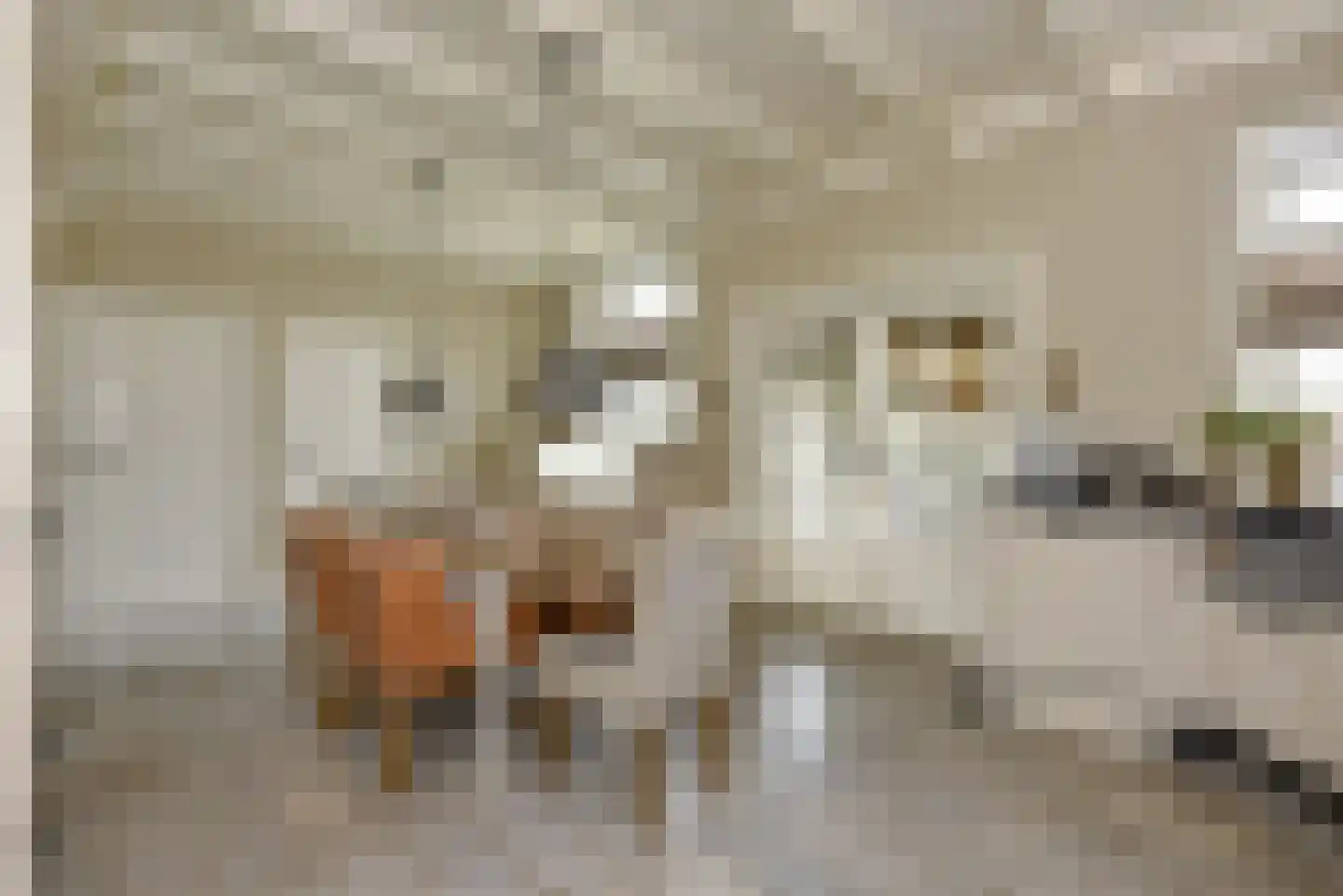 Mijdrechtse dwarsweg 5 Wilnis thumbnail 12