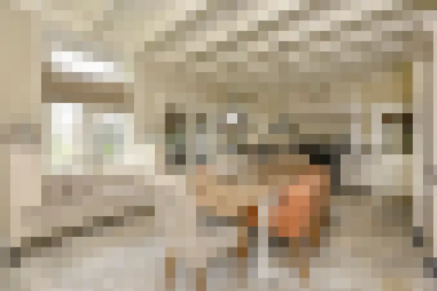Mijdrechtse dwarsweg 5 Wilnis thumbnail 13