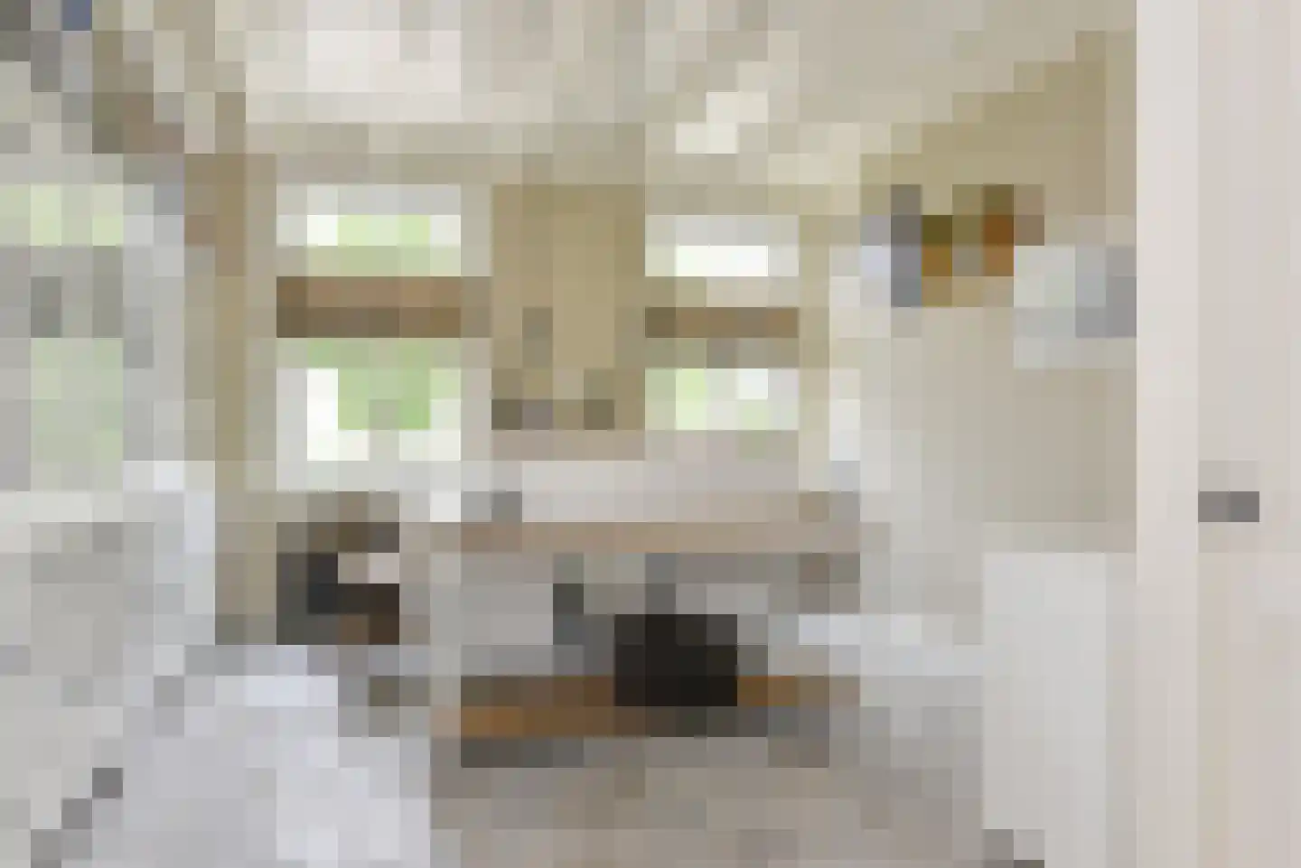 Mijdrechtse dwarsweg 5 Wilnis thumbnail 15