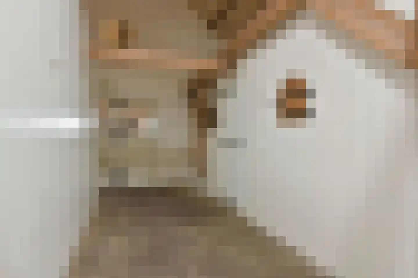 Mijdrechtse dwarsweg 5 Wilnis thumbnail 17