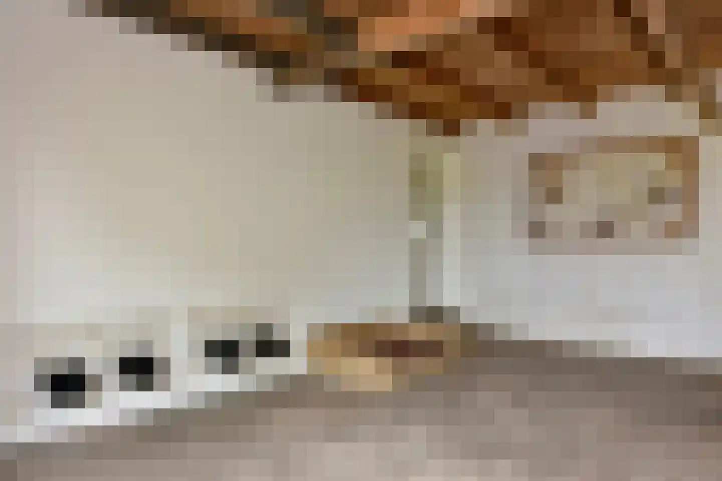 Mijdrechtse dwarsweg 5 Wilnis thumbnail 18
