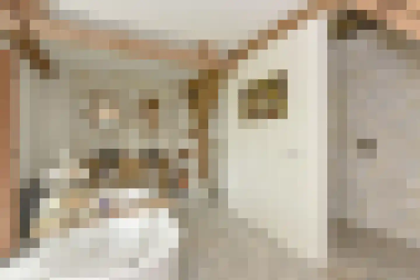 Mijdrechtse dwarsweg 5 Wilnis thumbnail 19
