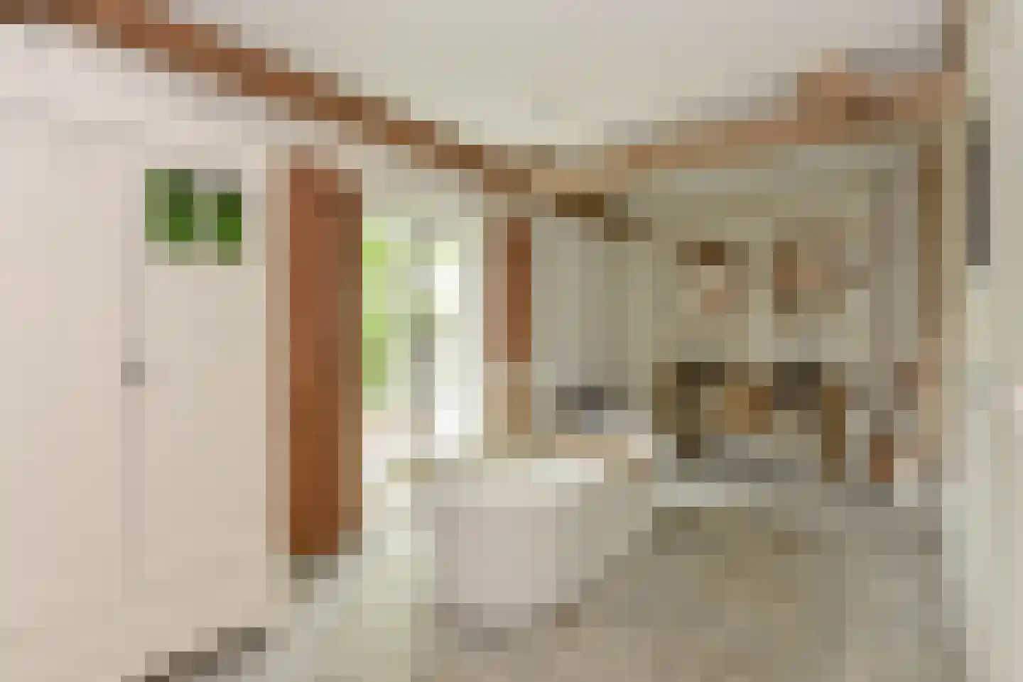 Mijdrechtse dwarsweg 5 Wilnis thumbnail 20