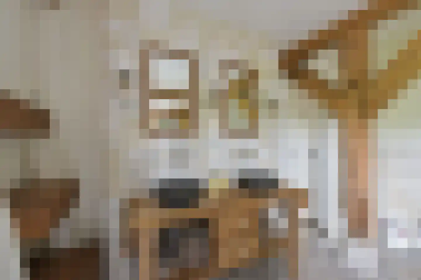 Mijdrechtse dwarsweg 5 Wilnis thumbnail 21