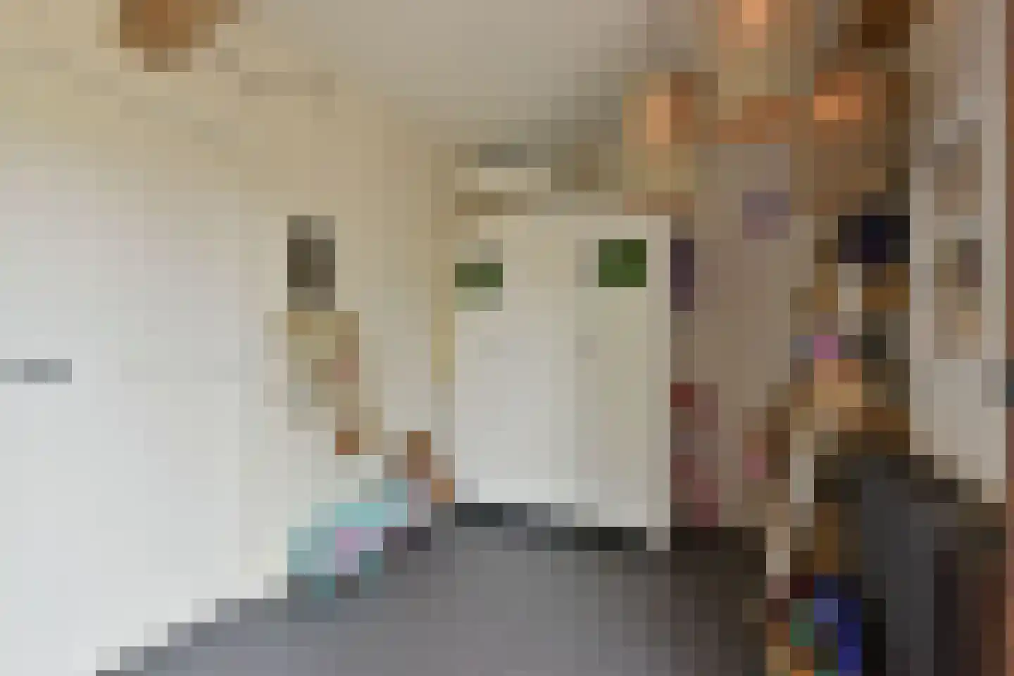Mijdrechtse dwarsweg 5 Wilnis thumbnail 26