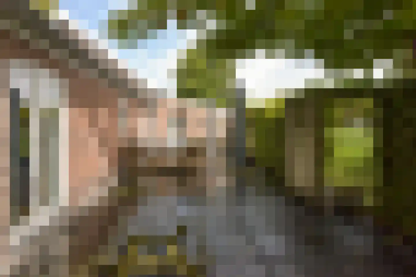 Mijdrechtse dwarsweg 5 Wilnis thumbnail 27