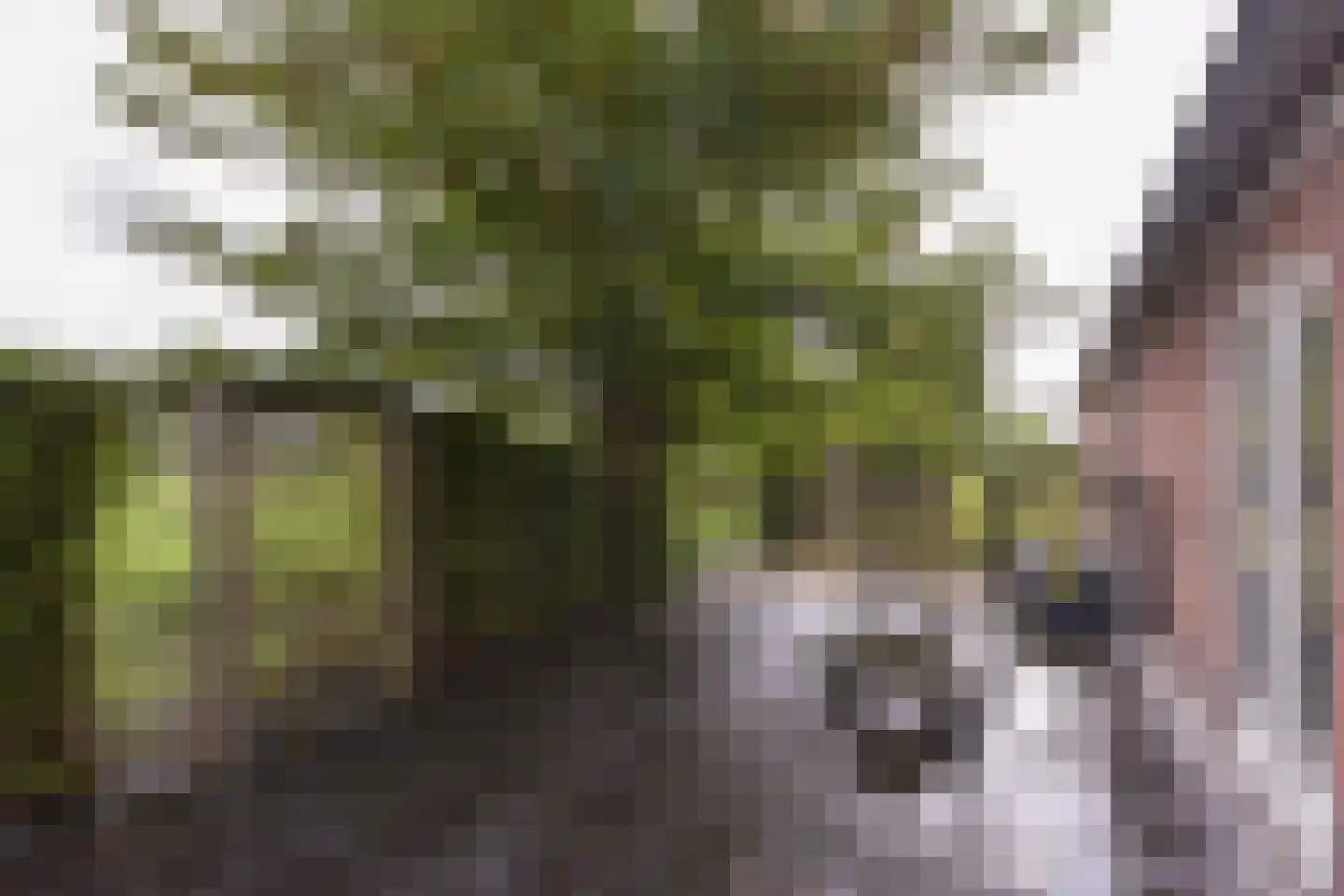Mijdrechtse dwarsweg 5 Wilnis thumbnail 28