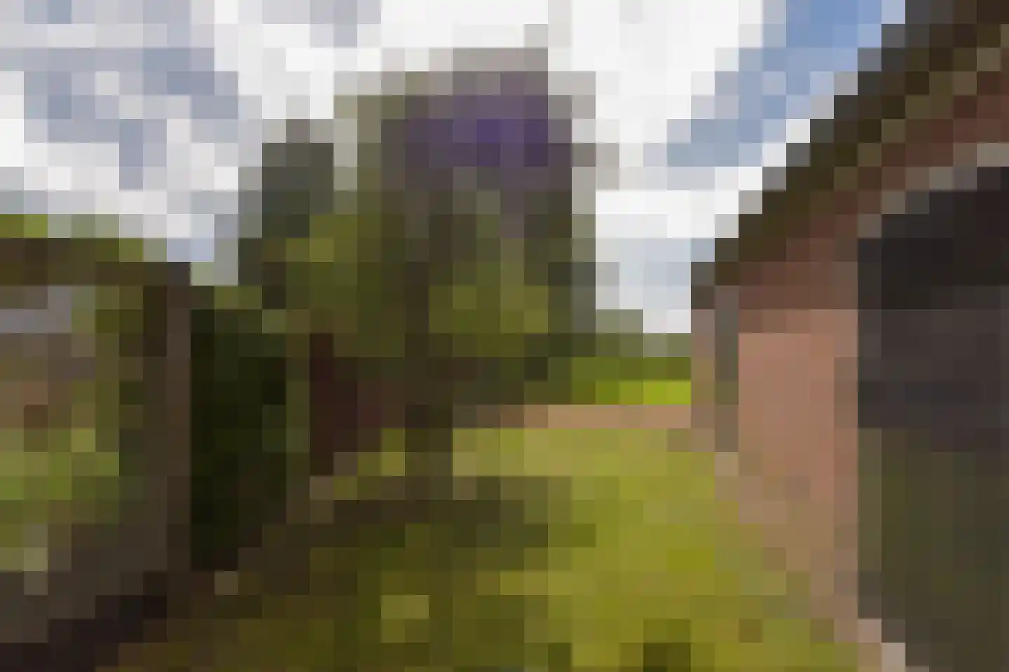Mijdrechtse dwarsweg 5 Wilnis thumbnail 29