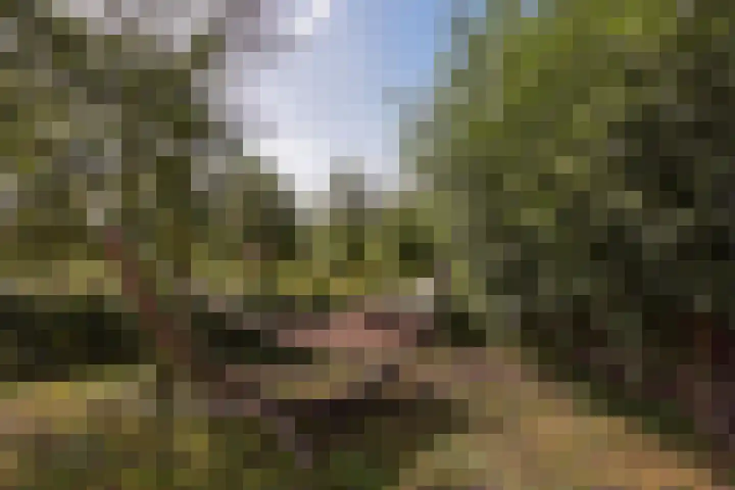 Mijdrechtse dwarsweg 5 Wilnis thumbnail 30