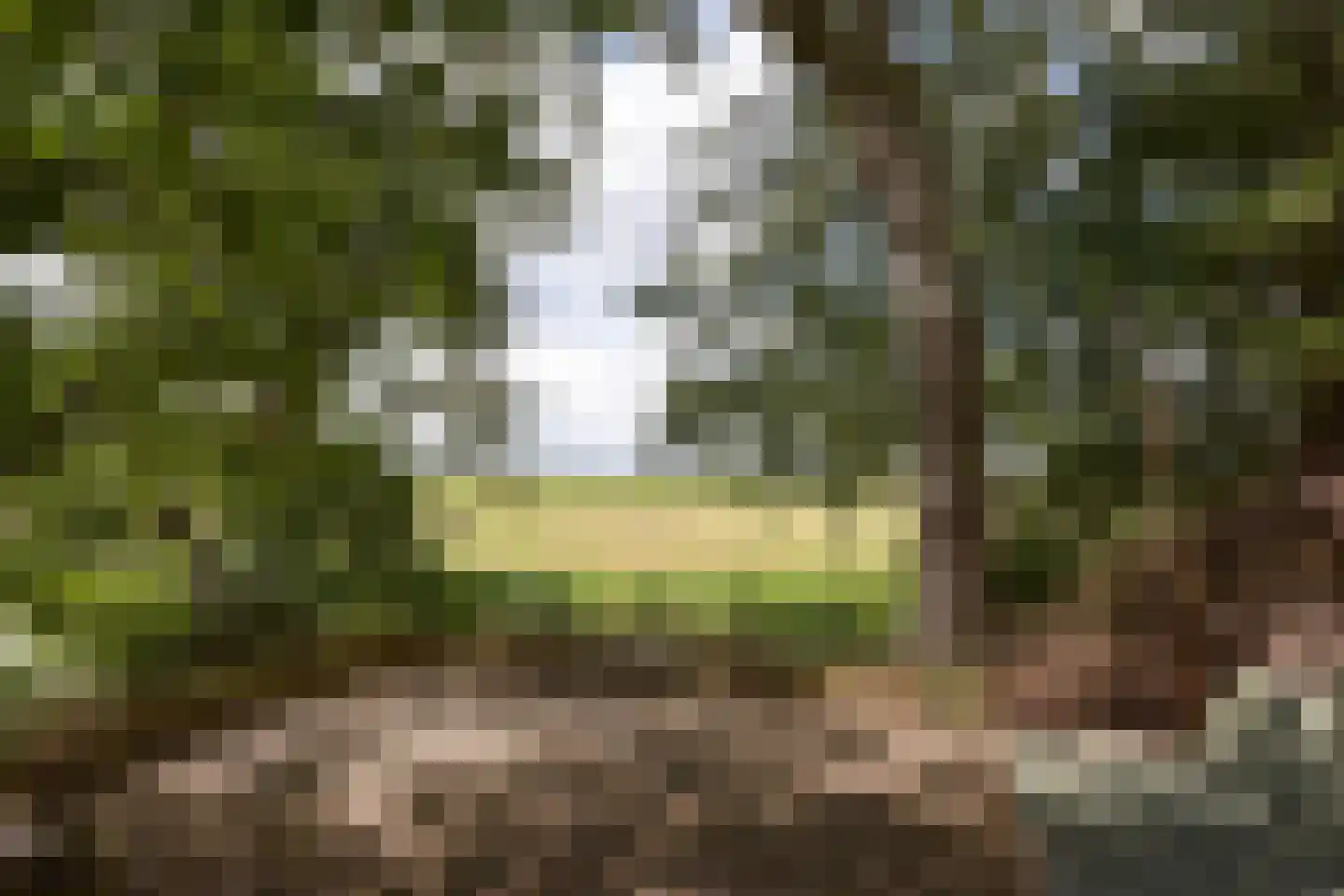 Mijdrechtse dwarsweg 5 Wilnis thumbnail 31