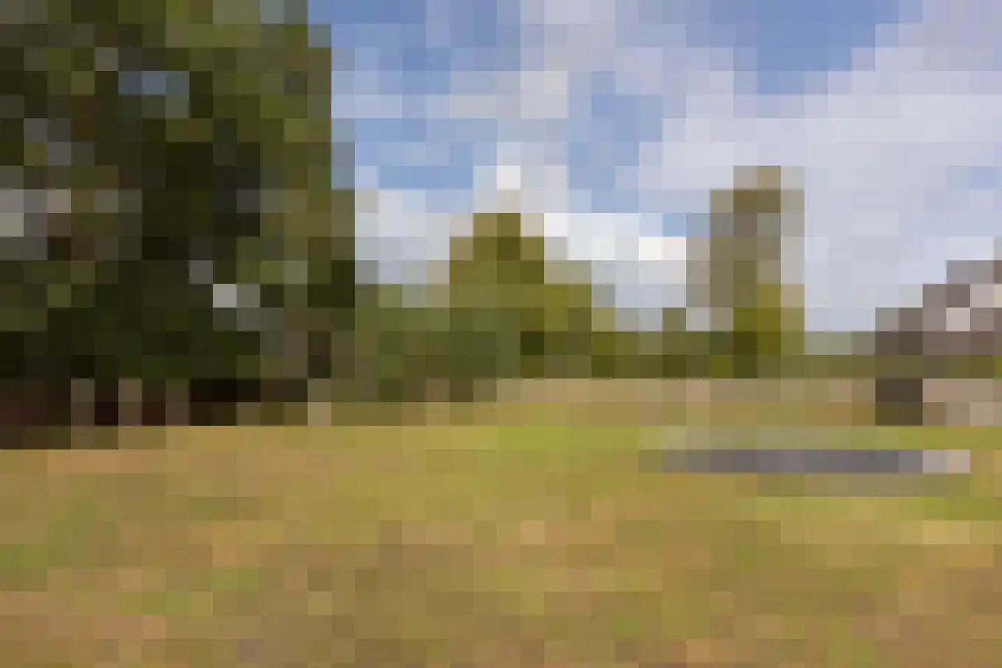 Mijdrechtse dwarsweg 5 Wilnis thumbnail 32
